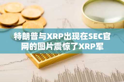 特朗普与XRP出现在SEC官网的图片震惊了XRP军