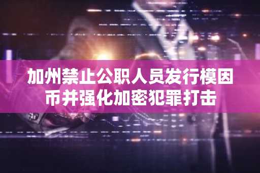 加州禁止公职人员发行模因币并强化加密犯罪打击