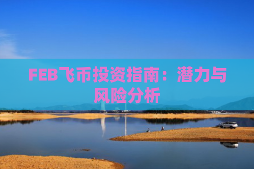 FEB飞币投资指南：潜力与风险分析