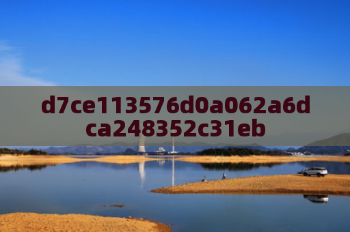 d7ce113576d0a062a6dca248352c31eb