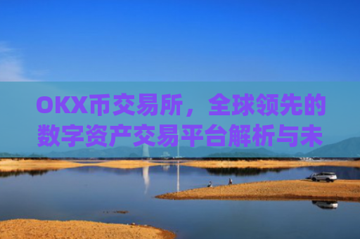OKX币交易所，全球领先的数字资产交易平台解析与未来展望_okex 币币交易