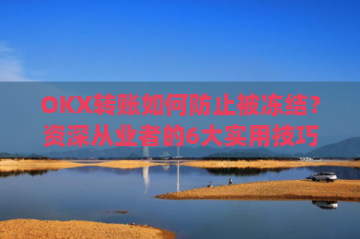 OKX转账如何防止被冻结？资深从业者的6大实用技巧_okex转账