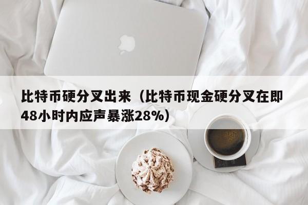 比特币硬分叉出来(比特币现金硬分叉在即 48小时内应声暴涨28%)