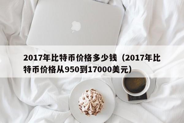 2017年比特币价格多少钱(2017年比特币价格从950到17000<a href=https://www.zgjsgccyw.cn/qukuai/668574.html target=_blank class=infotextkey>美元</a>)