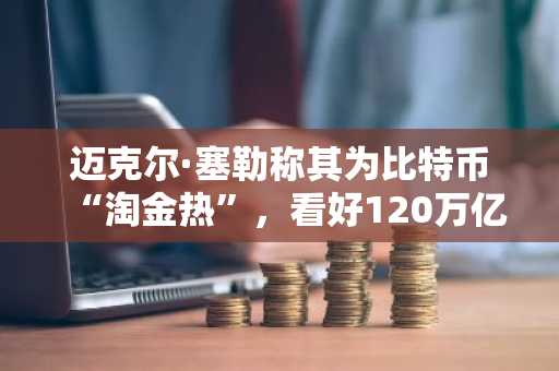 迈克尔·塞勒称其为比特币“淘金热”，看好120万亿美元上涨空间