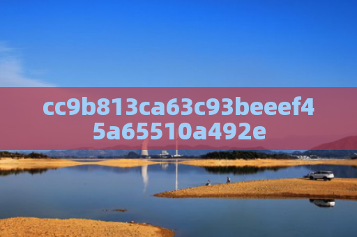 cc9b813ca63c93beeef45a65510a492e