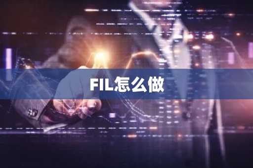FIL怎么做