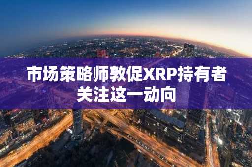 市场策略师敦促XRP持有者关注这一动向