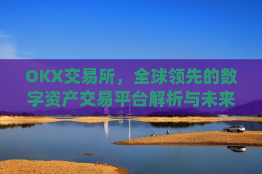 OKX交易所，全球领先的数字资产交易平台解析与未来展望_okx交易所app