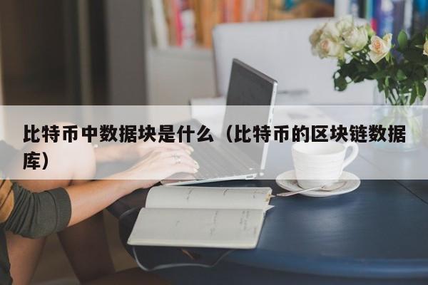比特币中数据块是什么(比特币的区块链数据库)