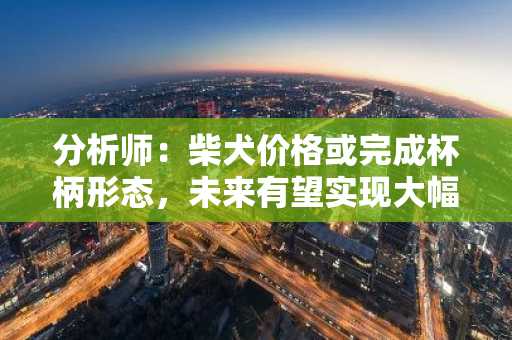 分析师：柴犬价格或完成杯柄形态，未来有望实现大幅反弹