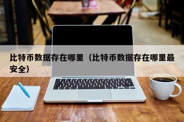 比特币数据存在哪里（比特币数据存在哪里最安全）
