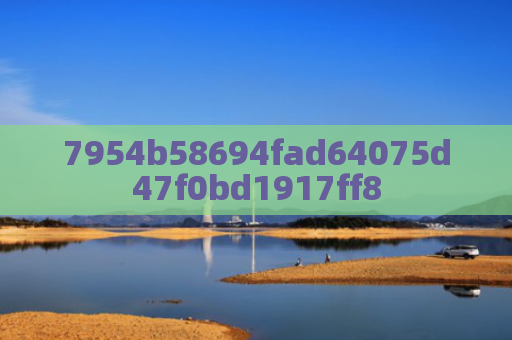 7954b58694fad64075d47f0bd1917ff8
