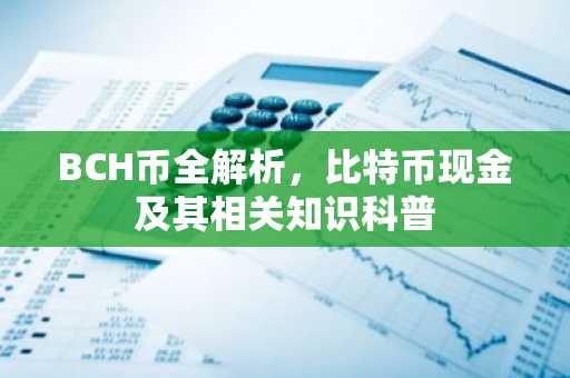 BCH币全解析，比特币现金及其相关知识科普