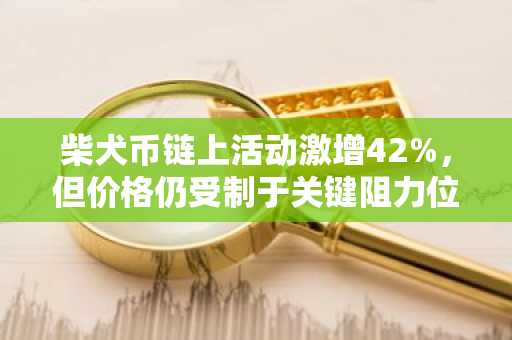柴犬币链上活动激增42%，但价格仍受制于关键阻力位