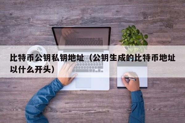 比特币公钥私钥地址(公钥生成的比特币地址以什么开头)