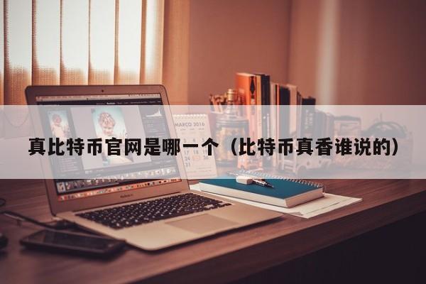 真比特币官网是哪一个(比特币真香谁说的)